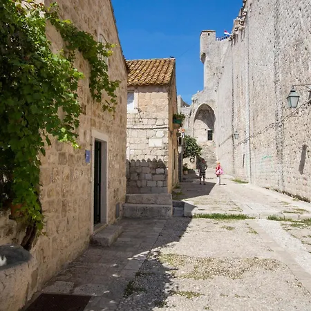 Sunny Garden Apartamento *